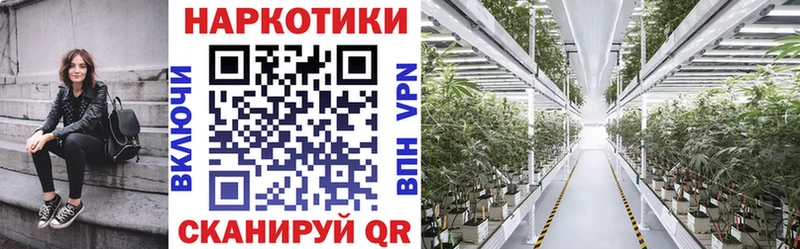 Наркотические вещества Нолинск Конопля Кокаин Галлюциногенные грибы Амфетамин МЕФ Гашиш