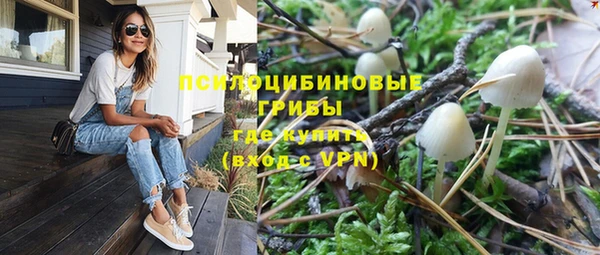 гидропоника Сосновка